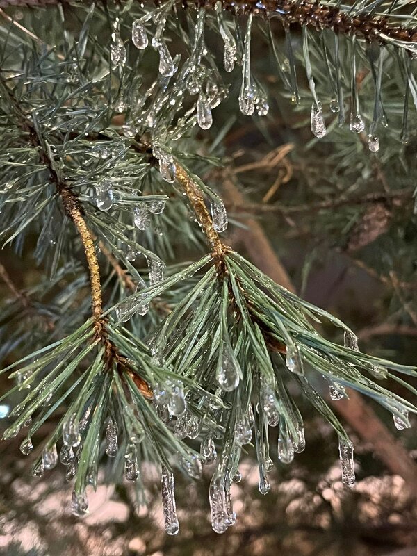 Бриллиантовые подвески - Надежда 