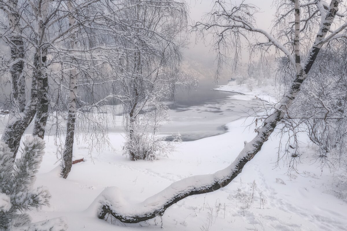 Зимняя нежность - Марина Фомина.