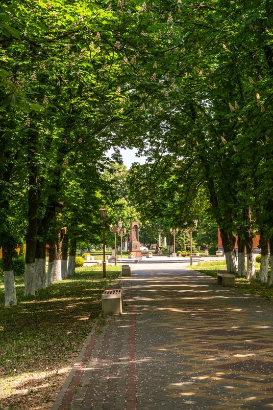 Из Архива. Мой город Армавир - Игорь Сикорский Из Архива. Мой город Армавир - Игорь Сикорский