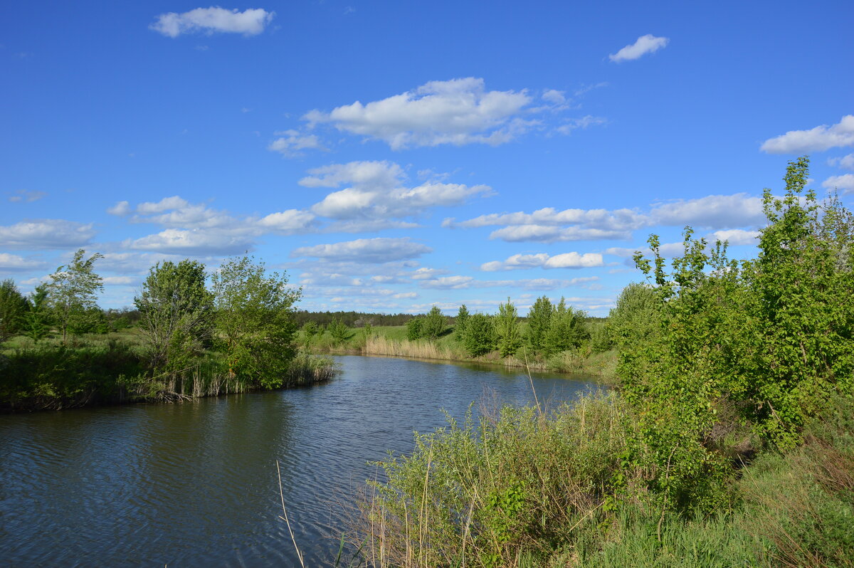 Местные виды. - Виктор 