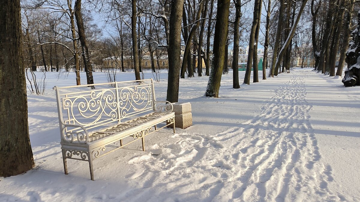 Пустынны аллеи.. - Ольга Пустынны аллеи.. - Ольга