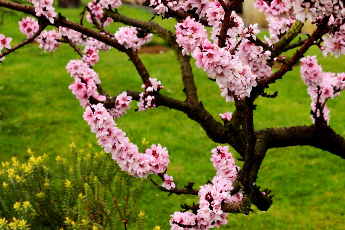 О весне - Юрий. Шмаков