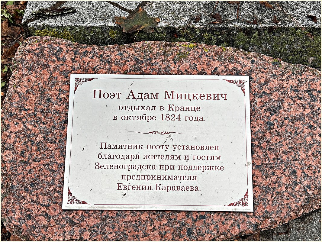 ********* - Валерия Комова