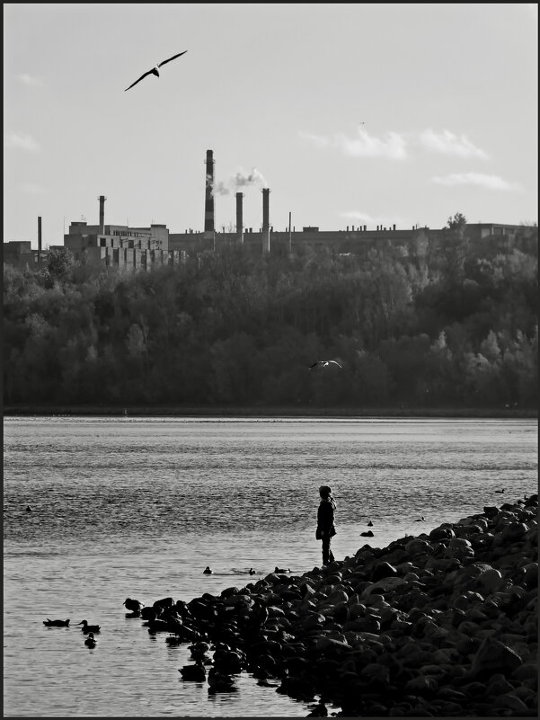 Пролетая над... - Наталья Rosenwasser