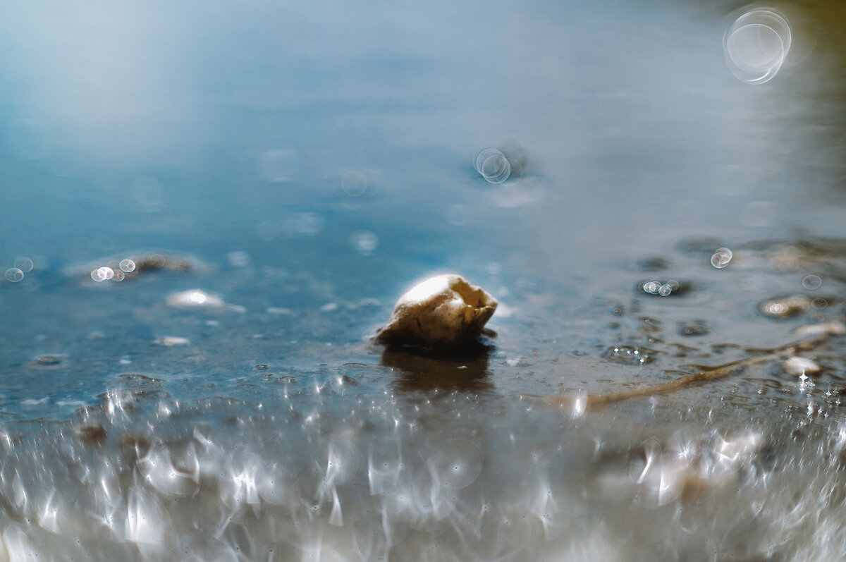 Морское. - Анатолий Щербак