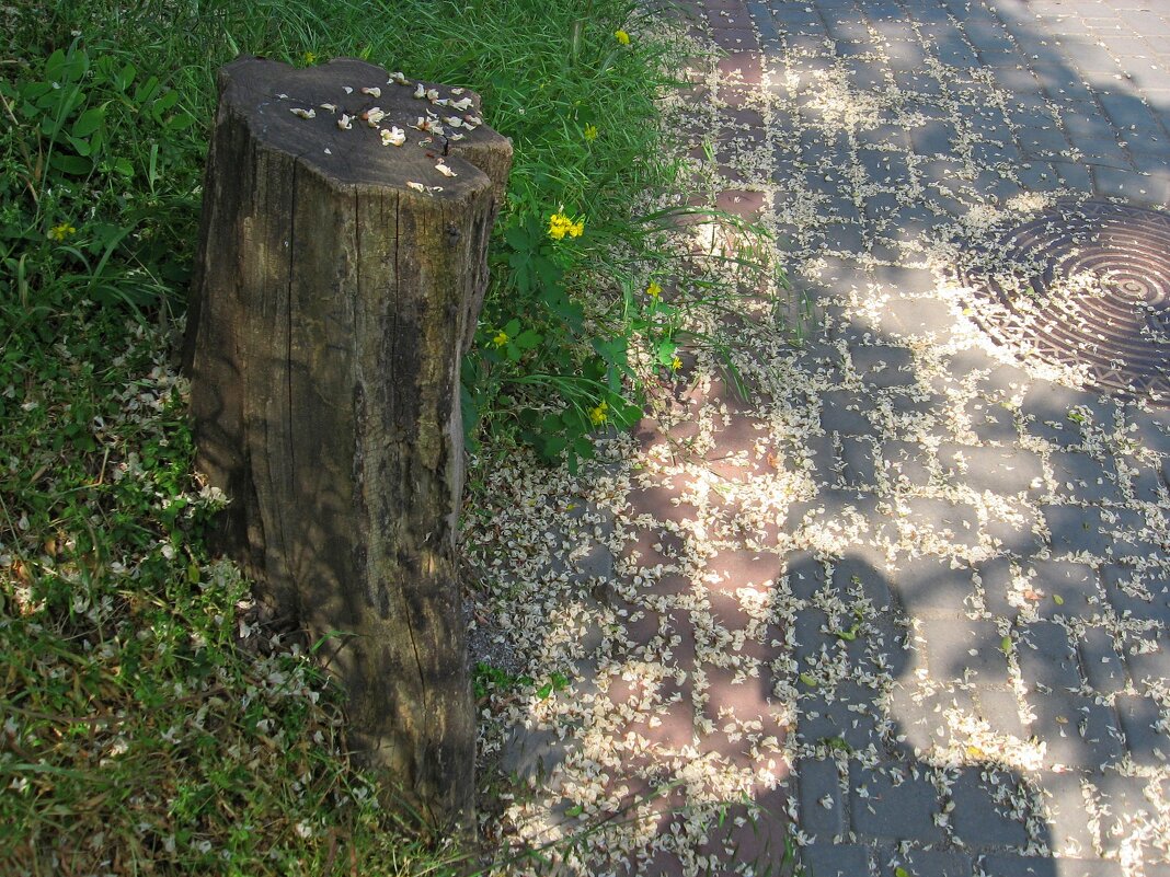 . - Александр Хоменко