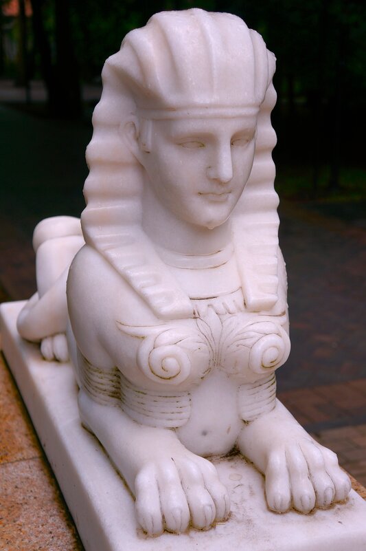 Сфинкс - Алёна Савина