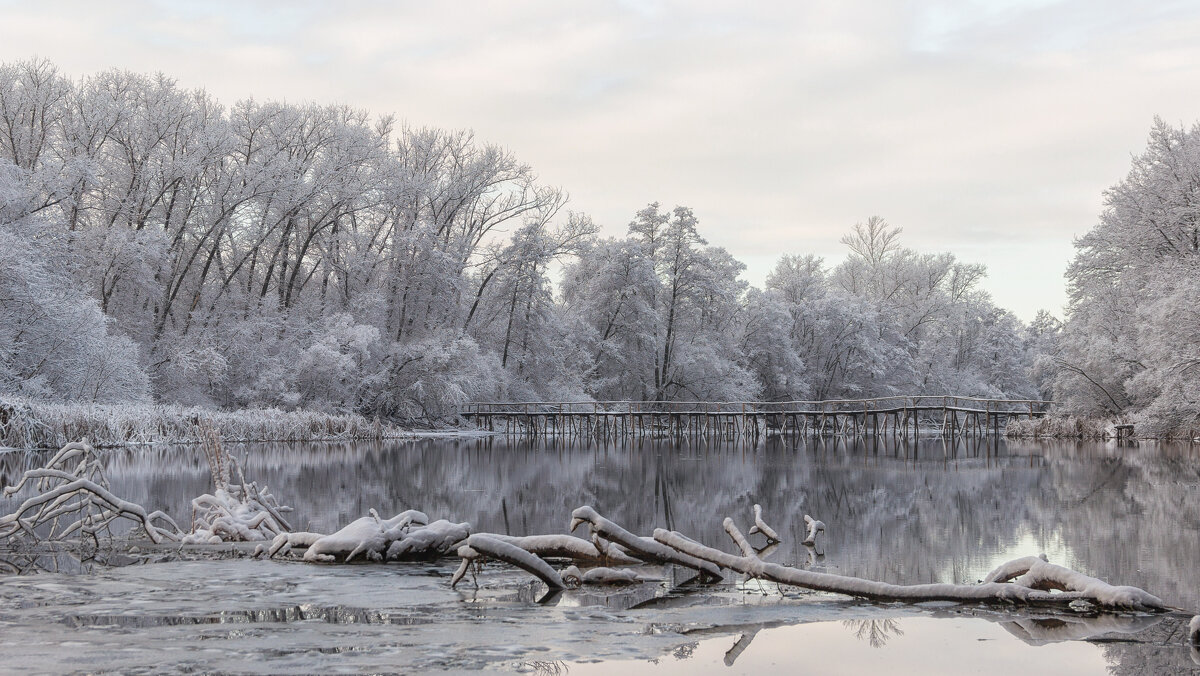 Снежное утро - Александр ...