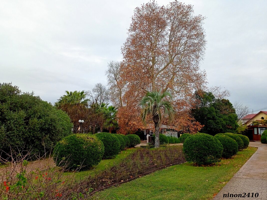 Адлер. Дендропарк "Южные культуры" - Нина Бутко Адлер. Дендропарк "Южные культуры" - Нина Бутко