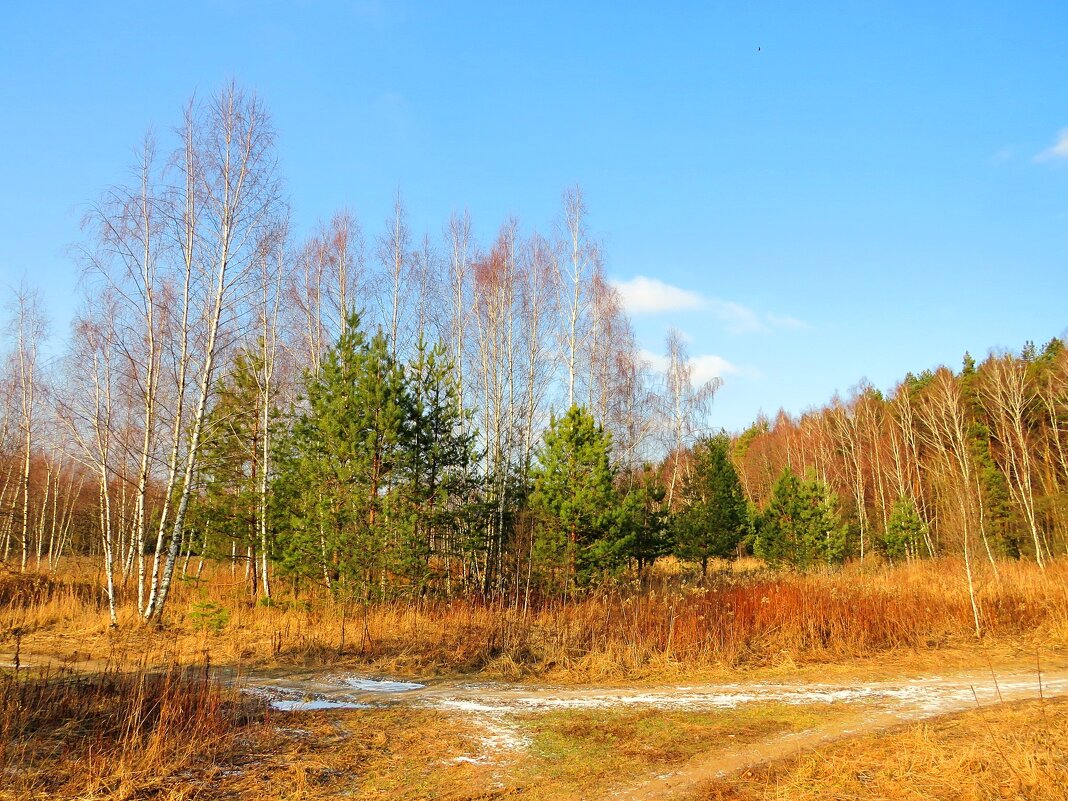 Возле дороги - Андрей Снегерёв Возле дороги - Андрей Снегерёв