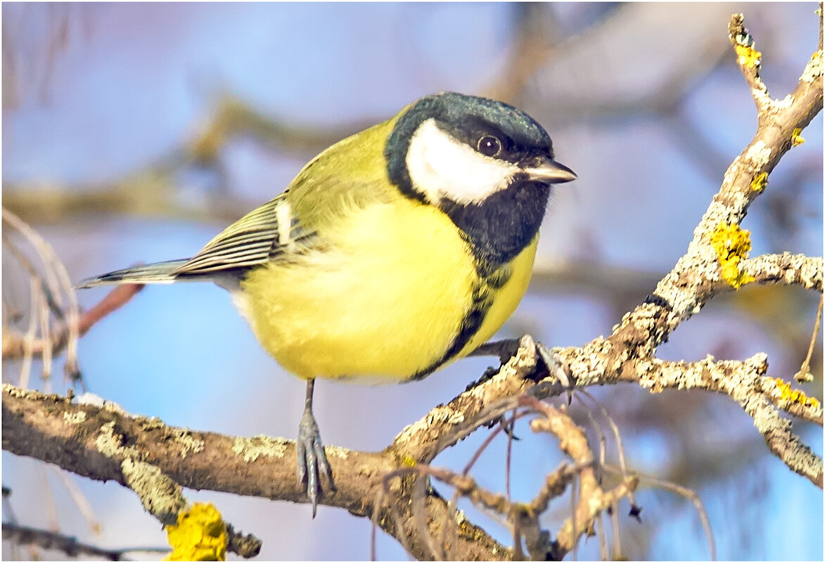 Скоро наступит весна - Валентин Котляров