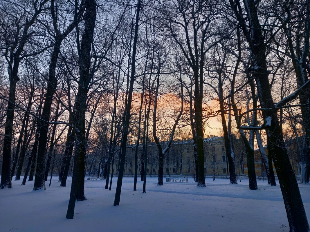 Рассвет - Сапсан 