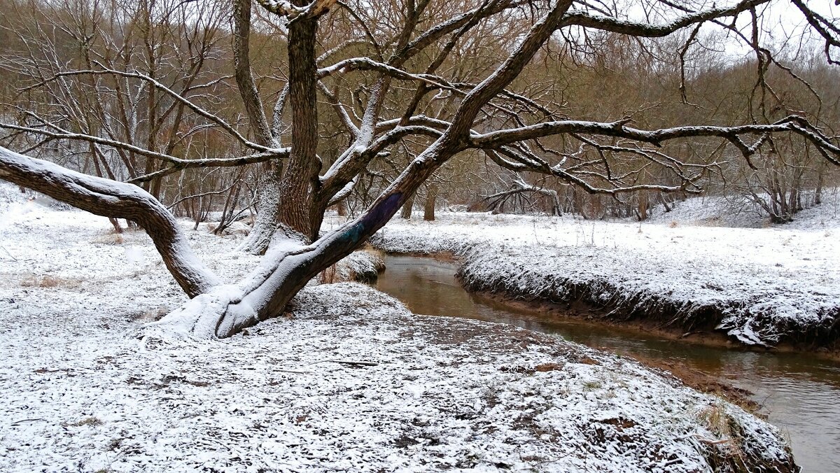 В городском парке. - Милешкин Владимир Алексеевич В городском парке. - Милешкин Владимир Алексеевич