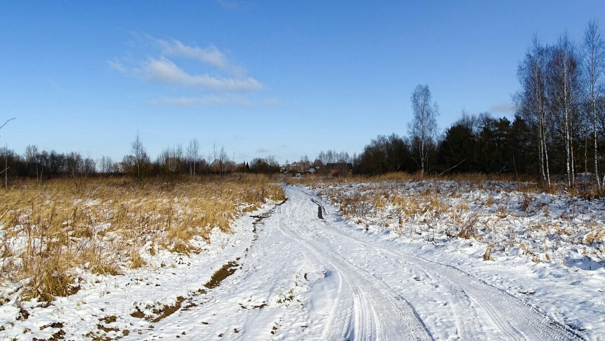 Просёлочная дорога (репортаж из поездок по области). - Милешкин Владимир Алексеевич Просёлочная дорога (репортаж из поездок по области). - Милешкин Владимир Алексеевич