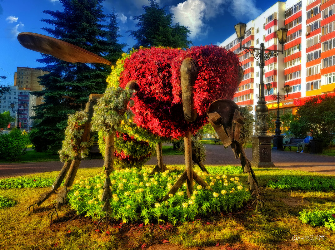 Пчёлка жу-жу-жу... - arkadii Пчёлка жу-жу-жу... - arkadii