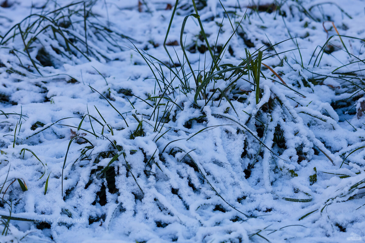 Трава под снегом - Александр Синдерёв