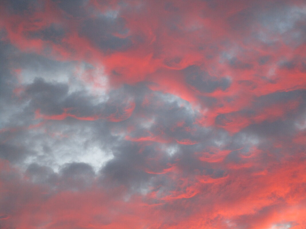 бывают закаты нежные - Елена Шаламова