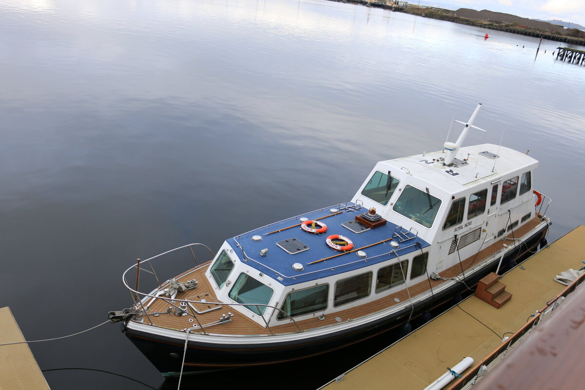 Катера реки Лейт - Ольга 