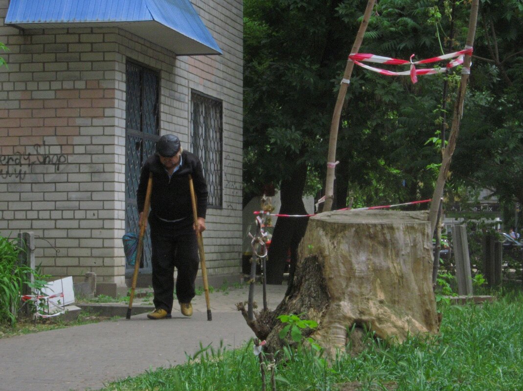 . - Александр Хоменко