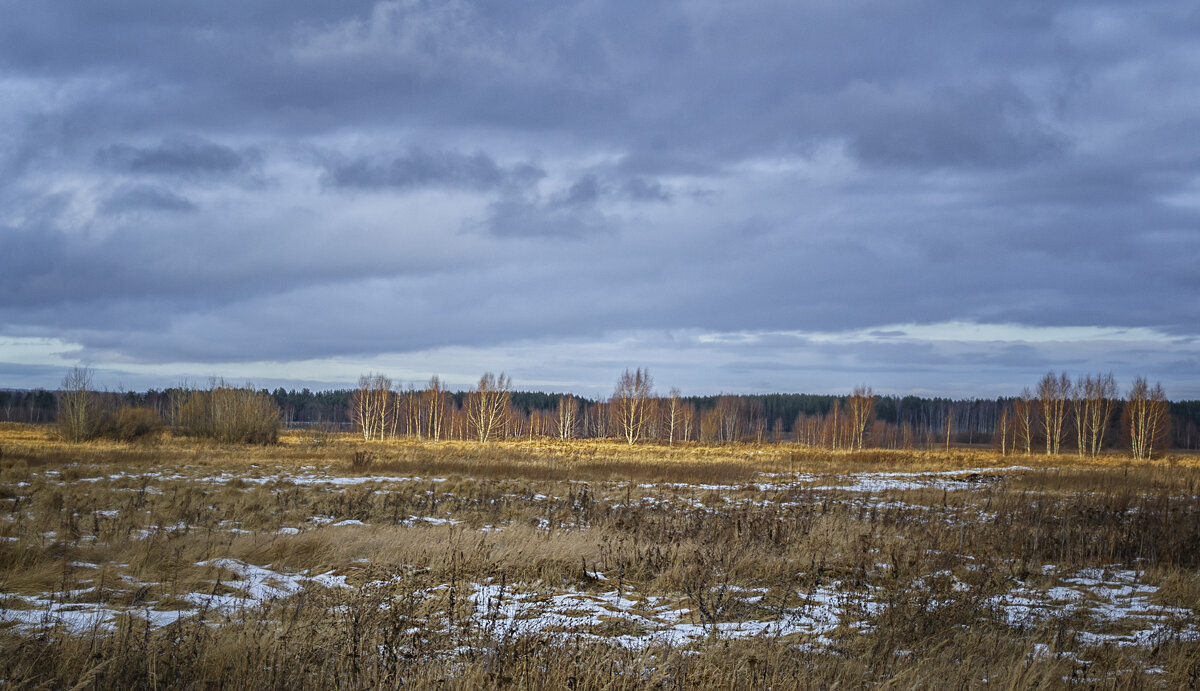 Еще в полях белеет снег - Сергей Цветков Еще в полях белеет снег - Сергей Цветков
