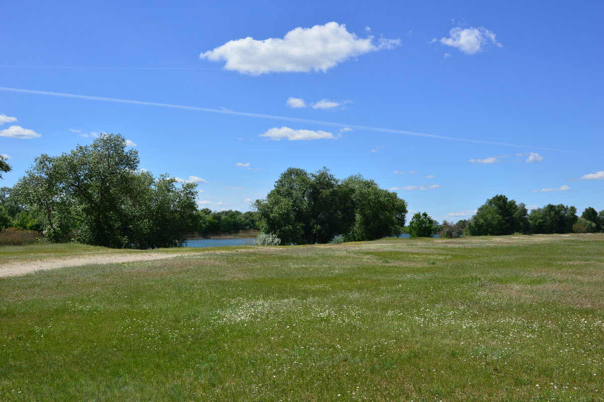 Донские виды. - Виктор Донские виды. - Виктор