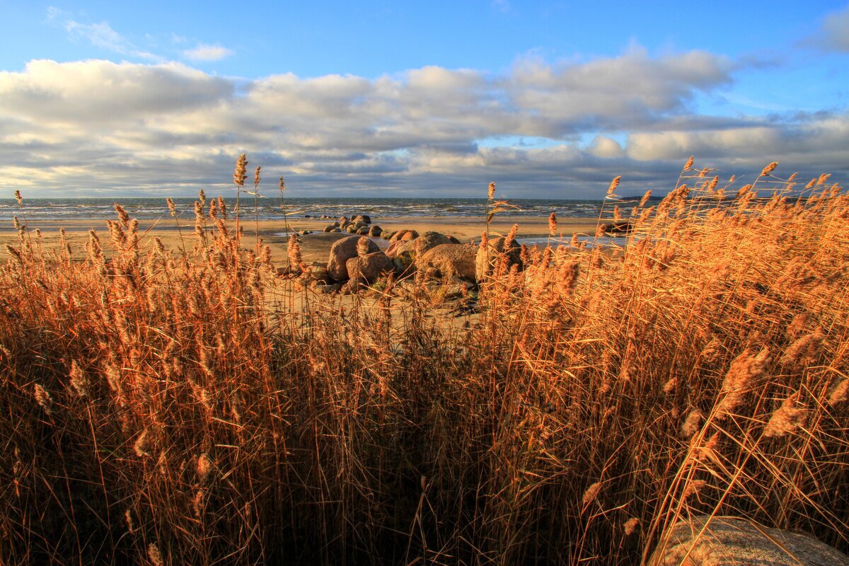 Финский залив - Cергей Кочнев