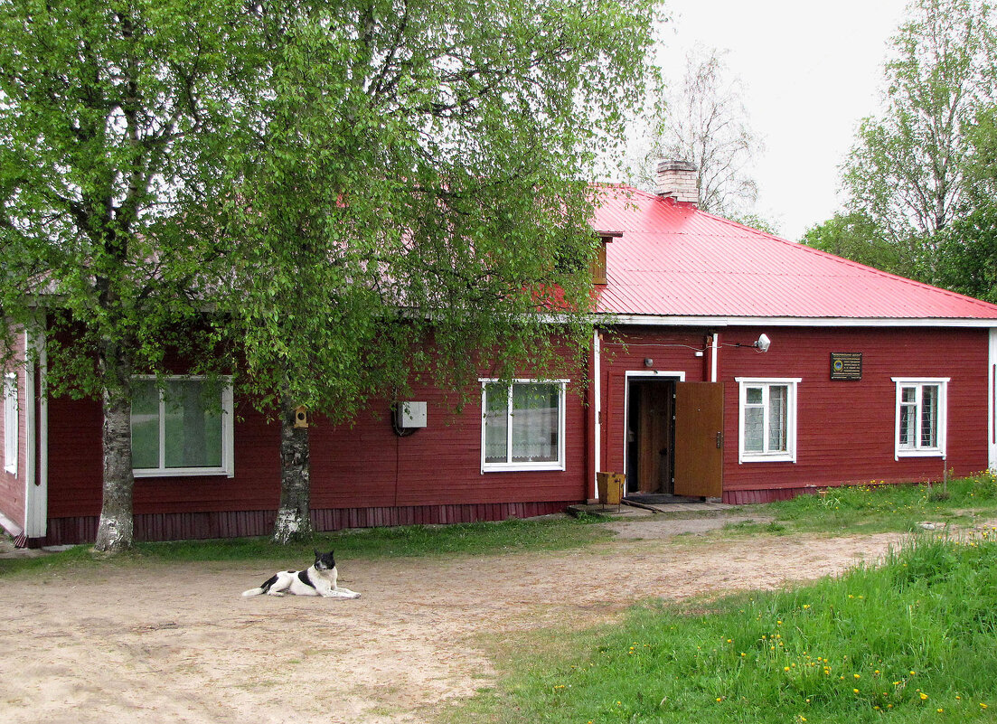 Гостевой дом "Кодиранду" - Александр Ильчевский Гостевой дом "Кодиранду" - Александр Ильчевский