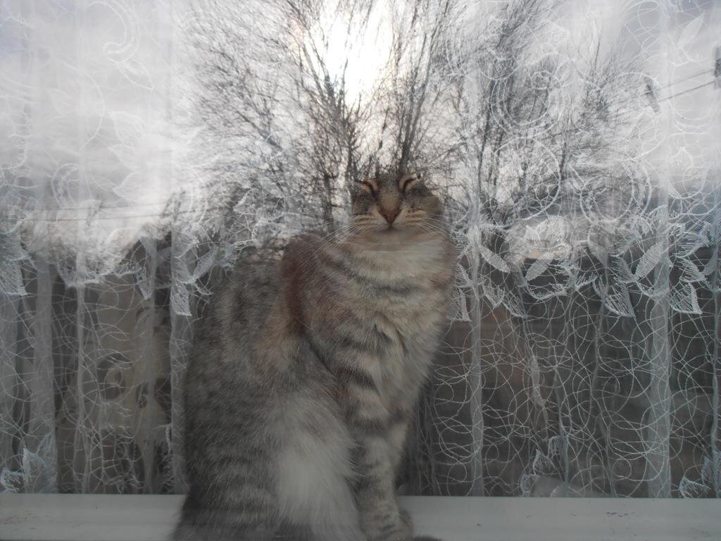 В кружевах :) - Наталья 