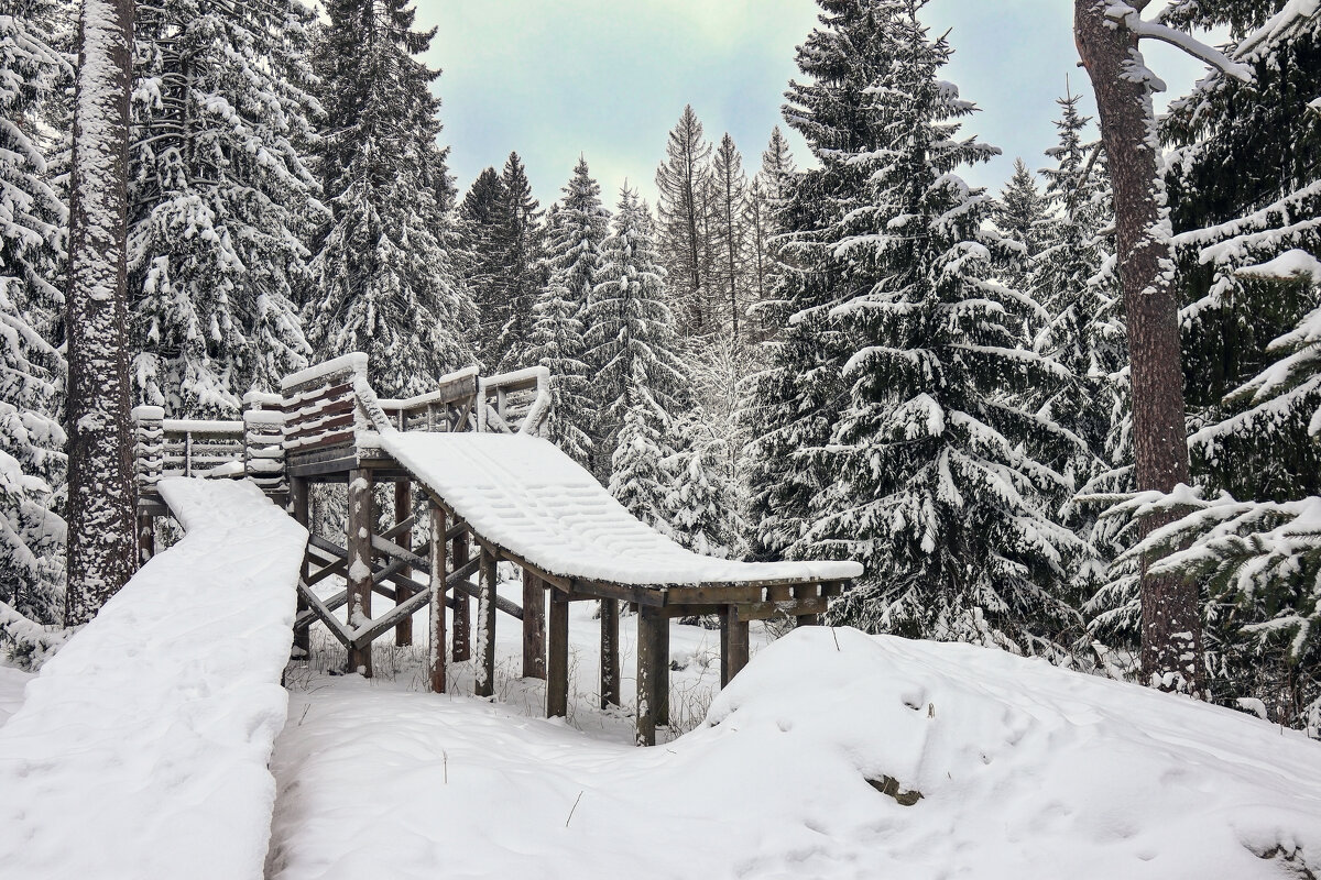 Золотая Долина - skijumper Иванов Золотая Долина - skijumper Иванов