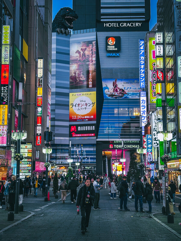 Токио - Дмитрий 