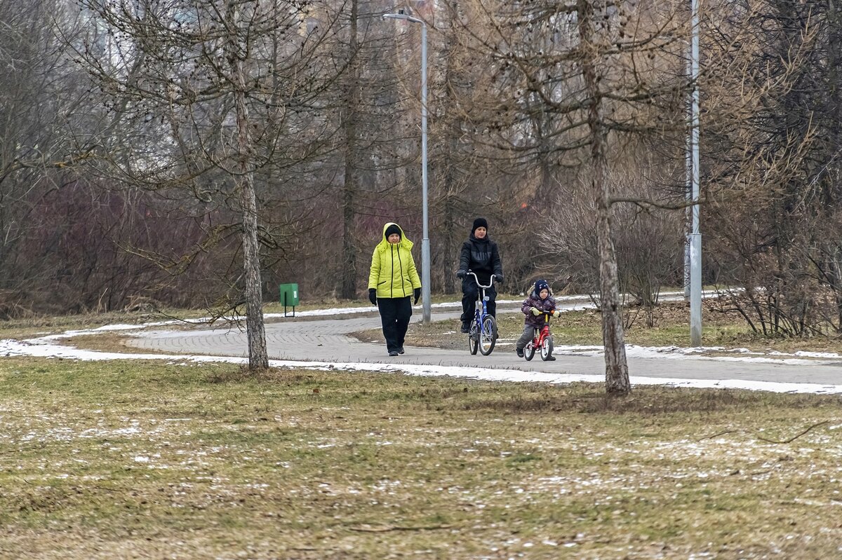 Прогулка по парку в феврале 2025 года - Валерий Иванович Прогулка по парку в феврале 2025 года - Валерий Иванович