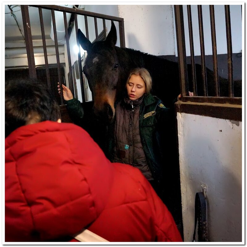 Смотрины - Вячеслав Макшанов