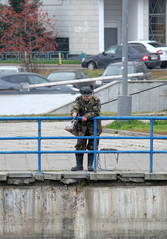На городском пруду - Валерий Судачок На городском пруду - Валерий Судачок