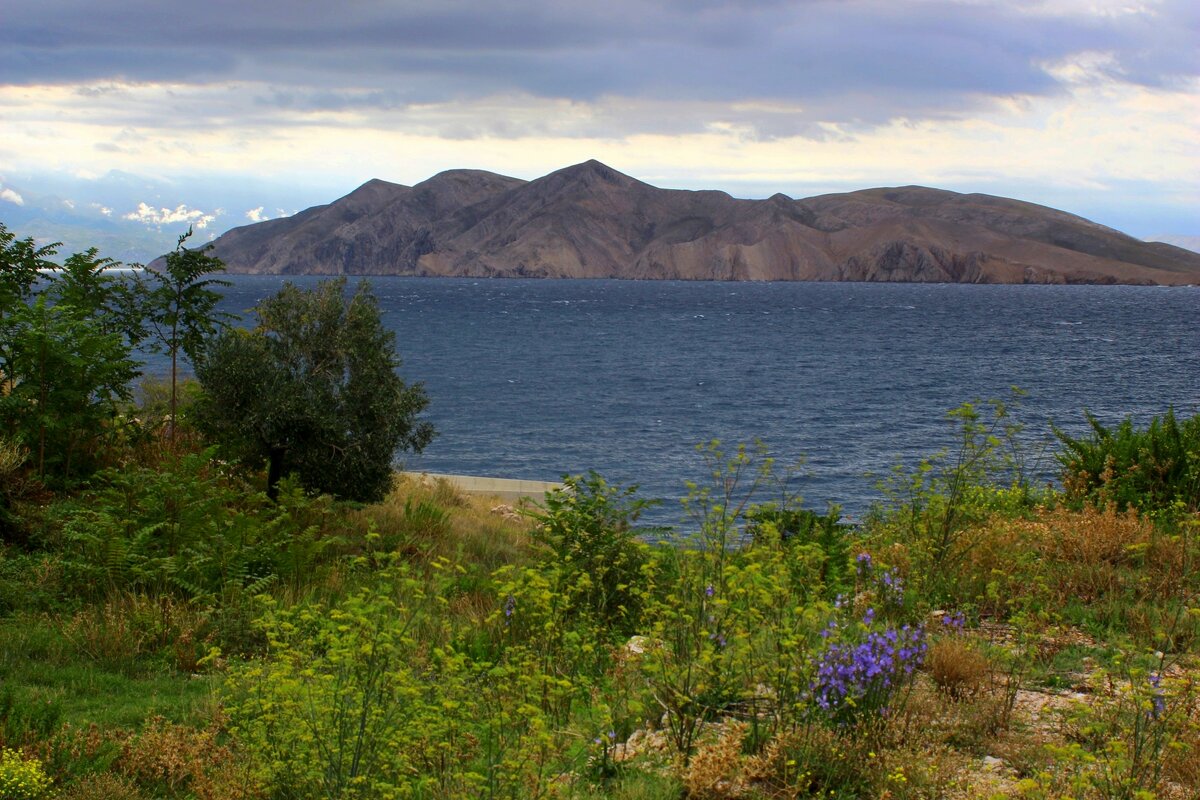 На островах - Юрий. Шмаков На островах - Юрий. Шмаков