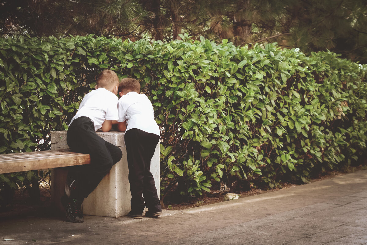 Секретики - Сергей Царёв Секретики - Сергей Царёв