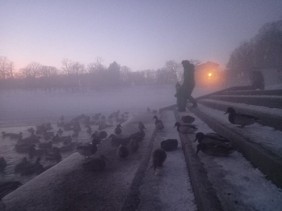 Утки - Сапсан 
