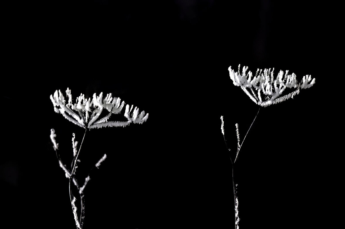 *** - Виктор Иванович Чернюк *** - Виктор Иванович Чернюк