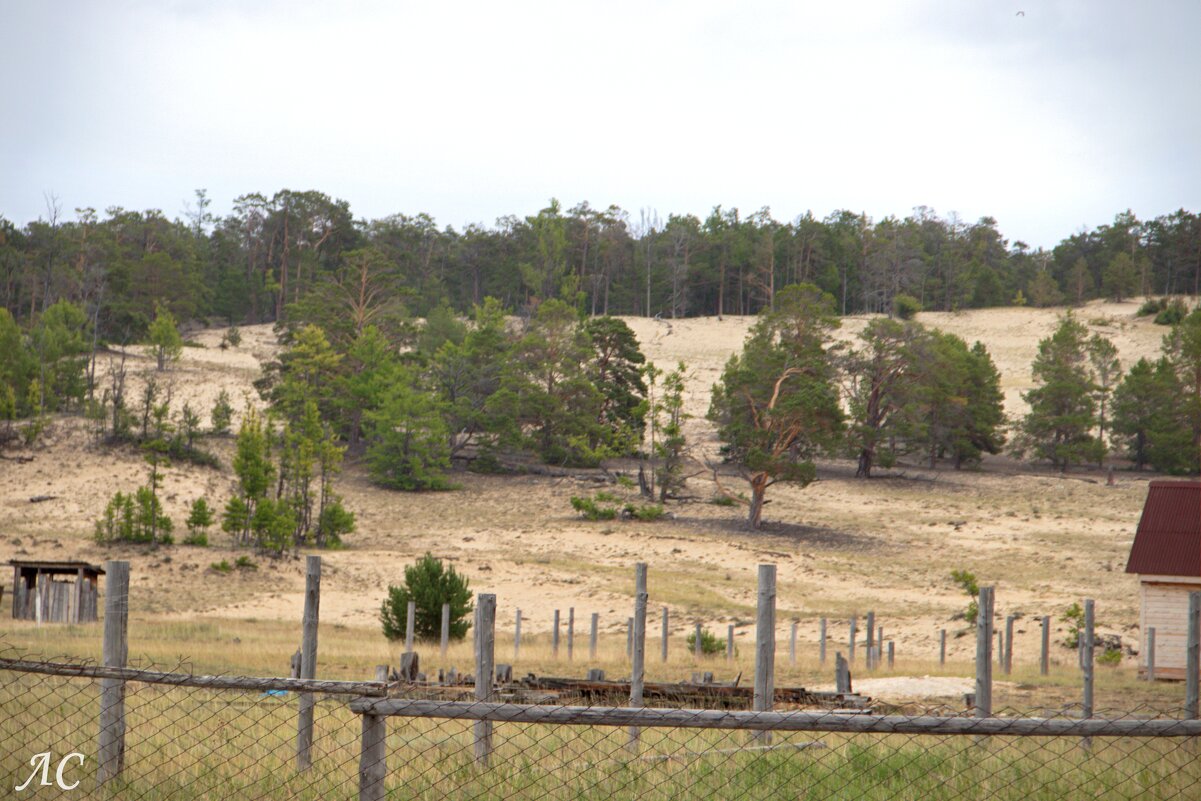 Песчаное - Любовь Сахарова Песчаное - Любовь Сахарова