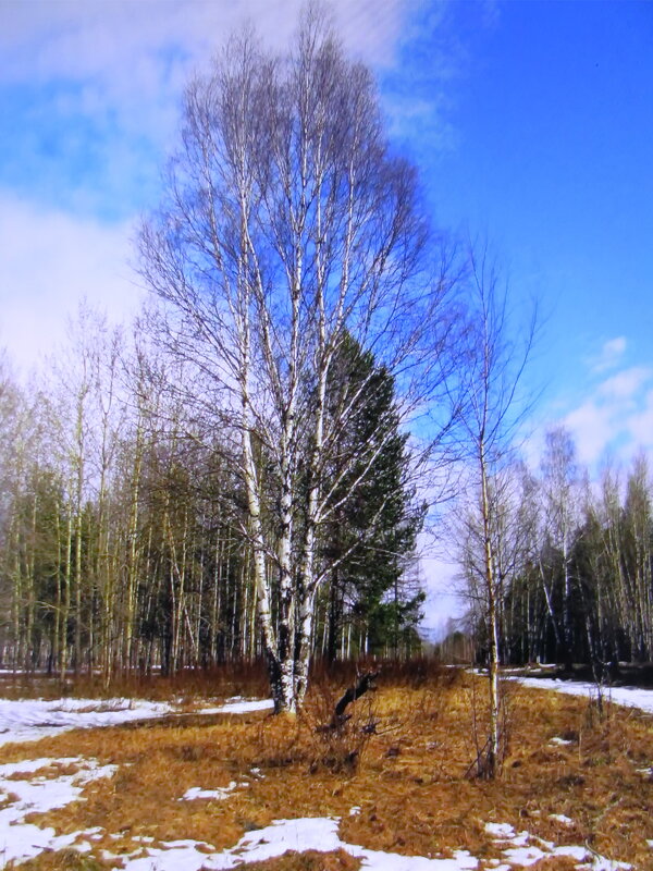 В солнечный денёк - Людмила Смородинская В солнечный денёк - Людмила Смородинская