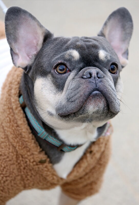 на Ходынке 8 февраля - Михаил Бибичков на Ходынке 8 февраля - Михаил Бибичков