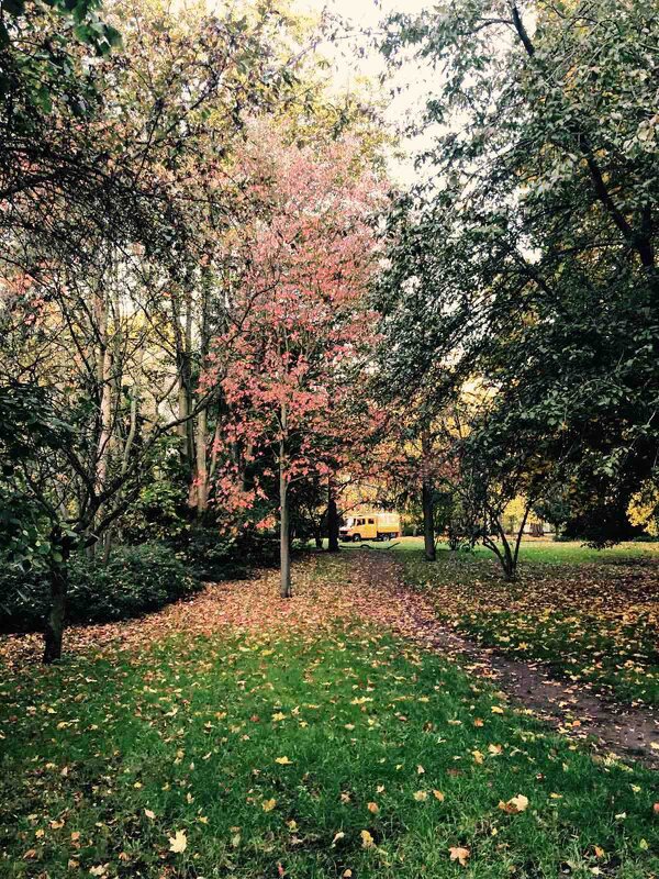 Казань Парк Осень - Нина Колгатина Казань Парк Осень - Нина Колгатина