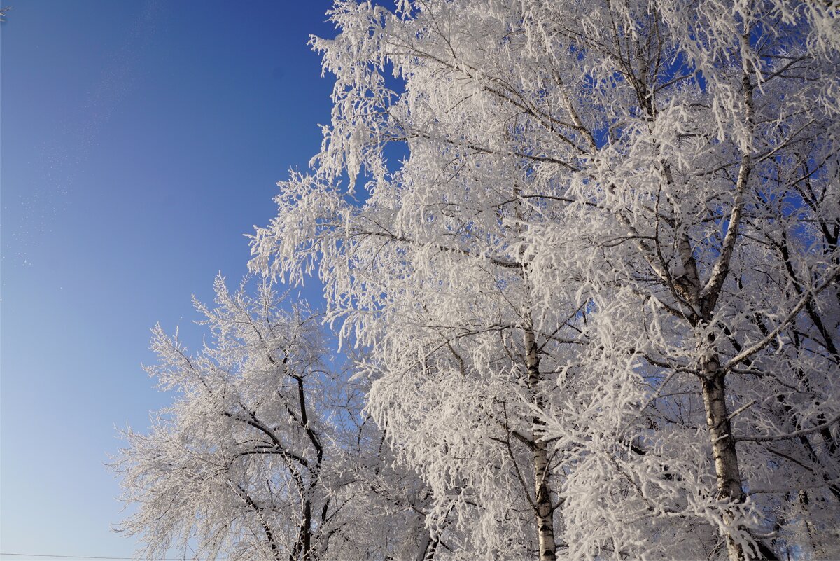 Иней - Наталия Григорьева