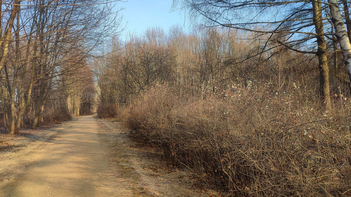 Еуропейская зима в Москве - Наталья Лакомова Еуропейская зима в Москве - Наталья Лакомова