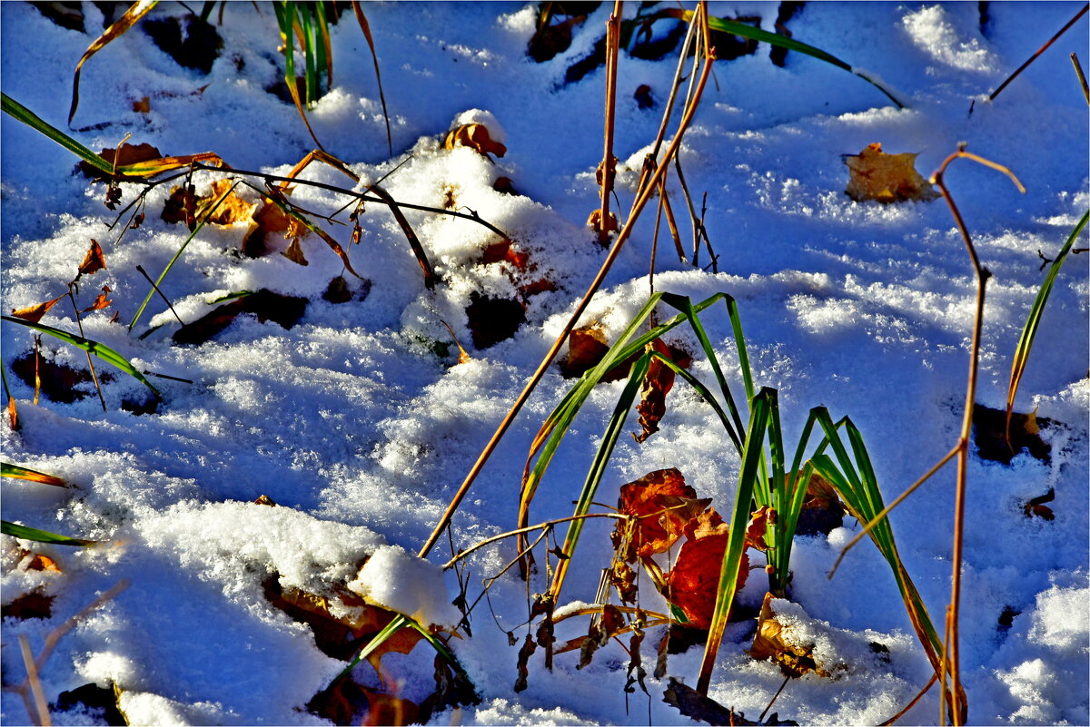 ПРОШЛОЕ - Юрий Владимирович 34 ПРОШЛОЕ - Юрий Владимирович 34