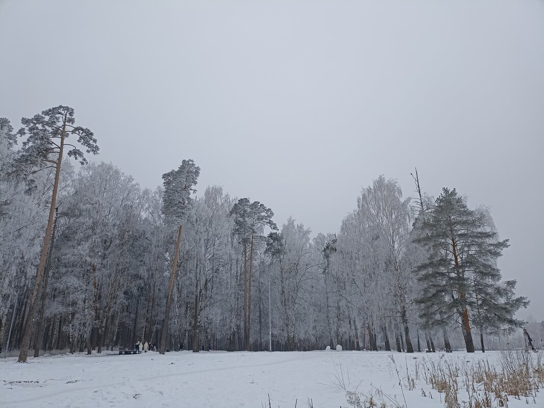 Зимний лес - Артём Орлов