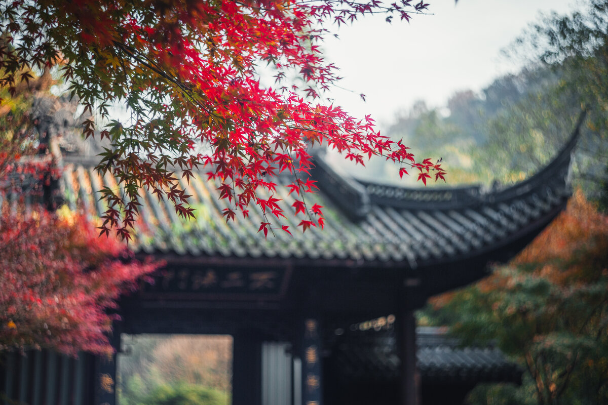 Осень в Ханчжоу - Дмитрий Осень в Ханчжоу - Дмитрий