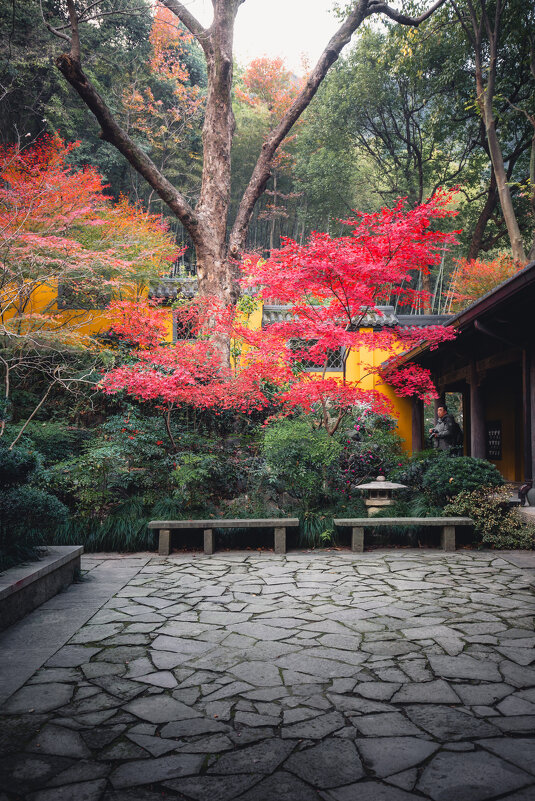 Дворик в буддистском храме - Дмитрий Дворик в буддистском храме - Дмитрий