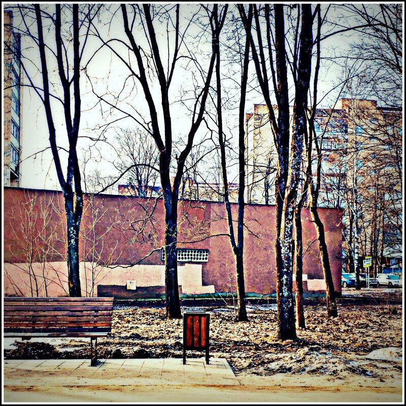 февраль в Черноголовке - Любовь февраль в Черноголовке - Любовь