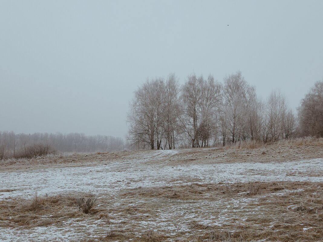 *** - Леонид leo
