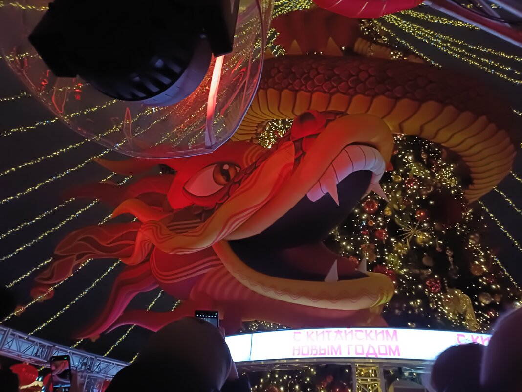 китайский новый год к нам пришёл... - Галина R...